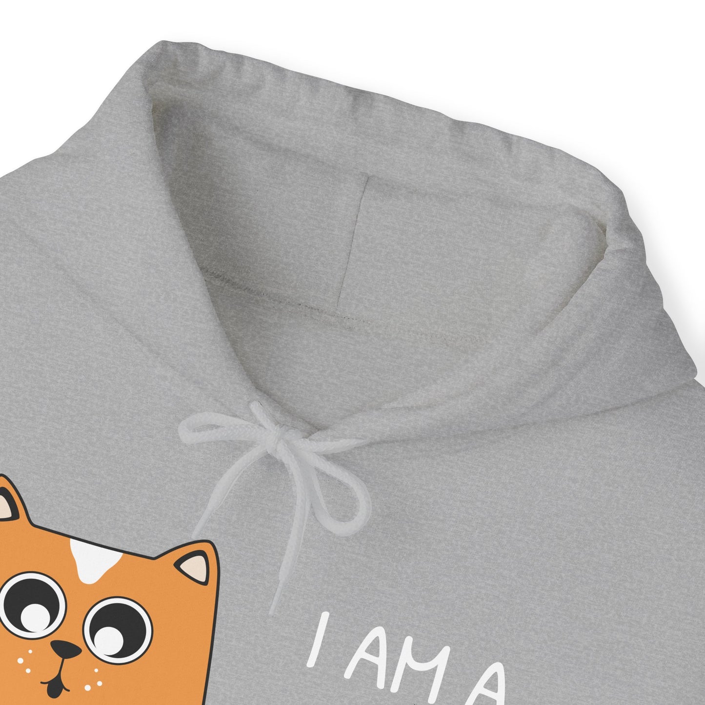 "Few Can Tolerate This Luxury" Hooded Sweatshirt